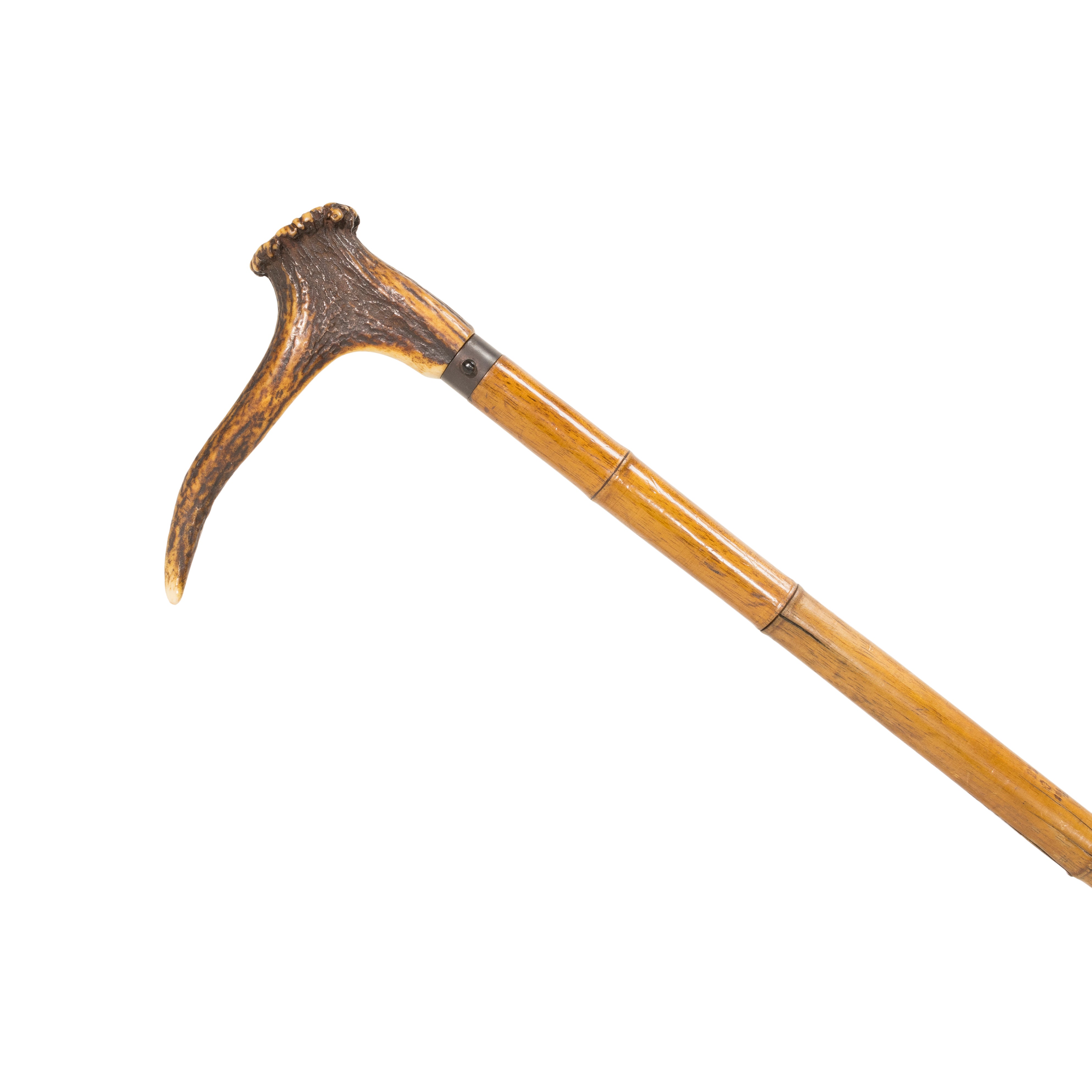 Cane Gun