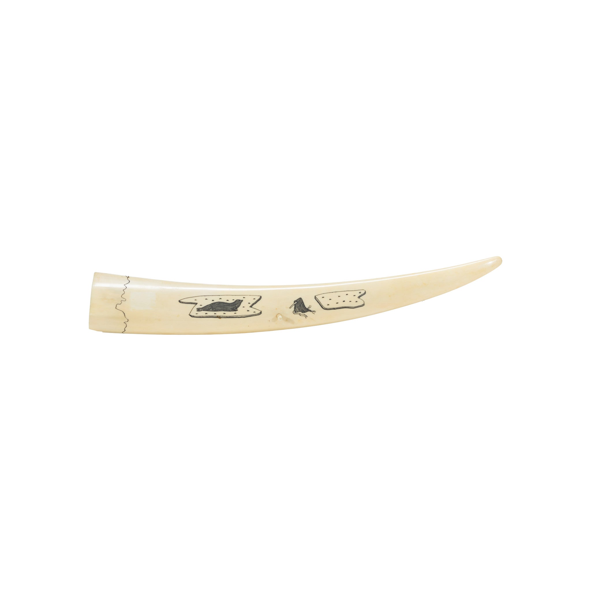 Inuit Walrus Ivory Cribbage Board