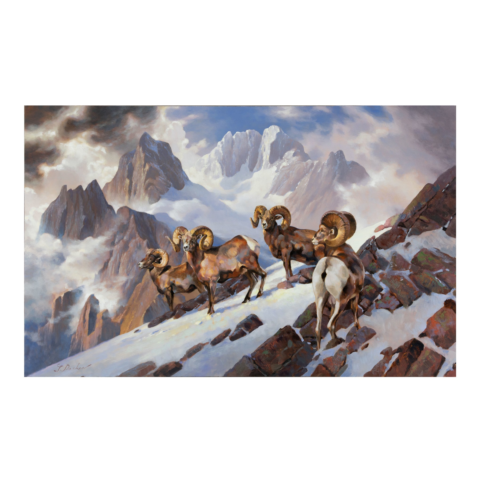 Rams of the Wind River by Greg Parker, Fine Art, Painting, Wildlife