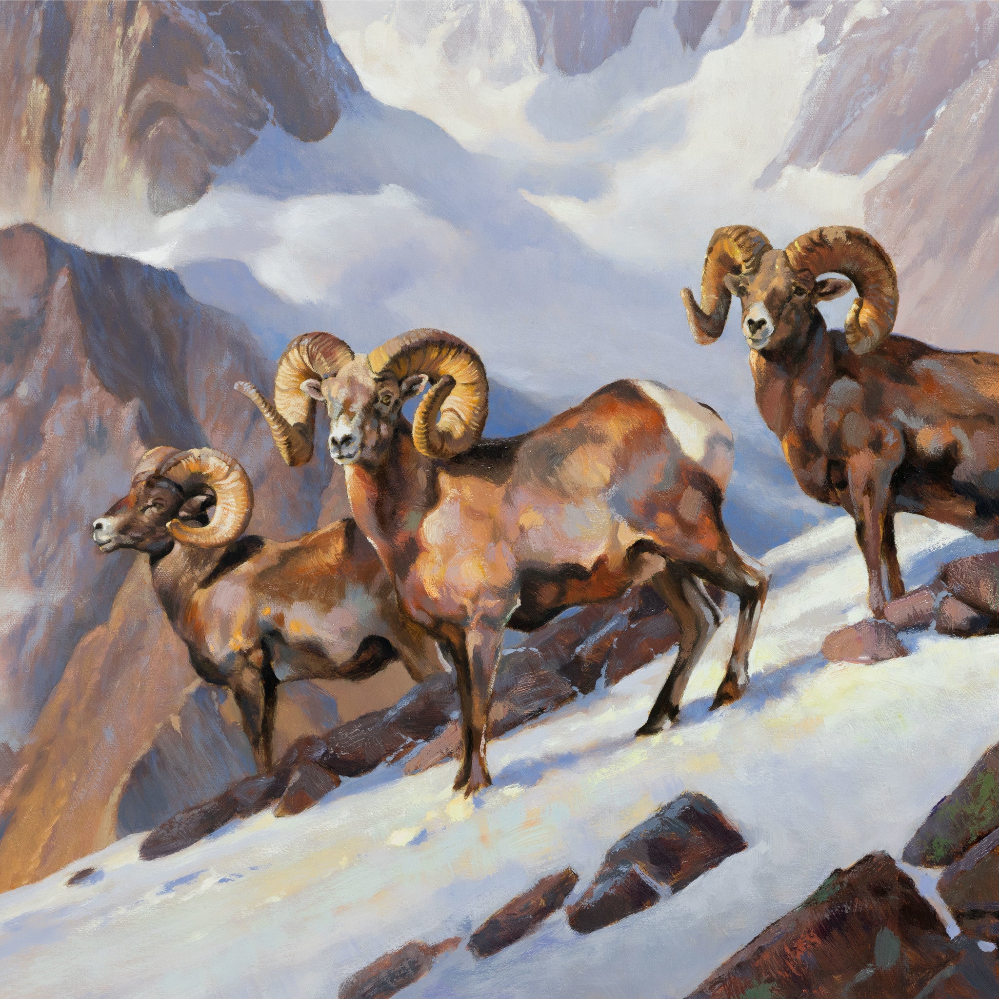 Rams of the Wind River by Greg Parker