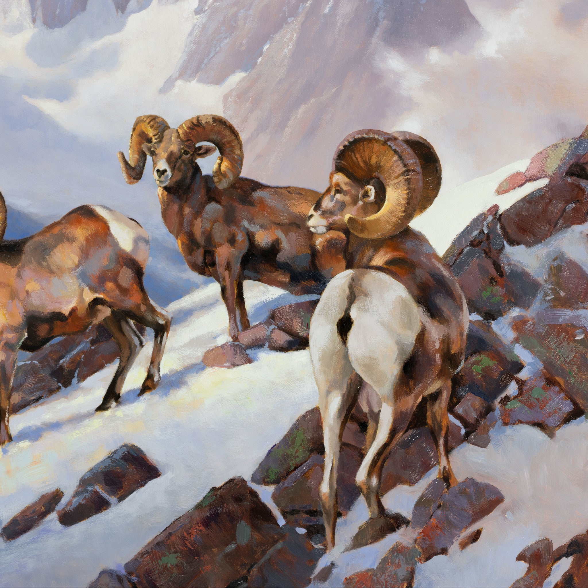 Rams of the Wind River by Greg Parker