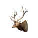 Massive 6 x 6 Elk, Furnishings, Taxidermy, Elk