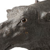 Black Forest Moose Head