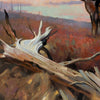 Out in the Open by Greg Parker