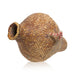 Ute Water Jar, Native, Basketry, Vertical