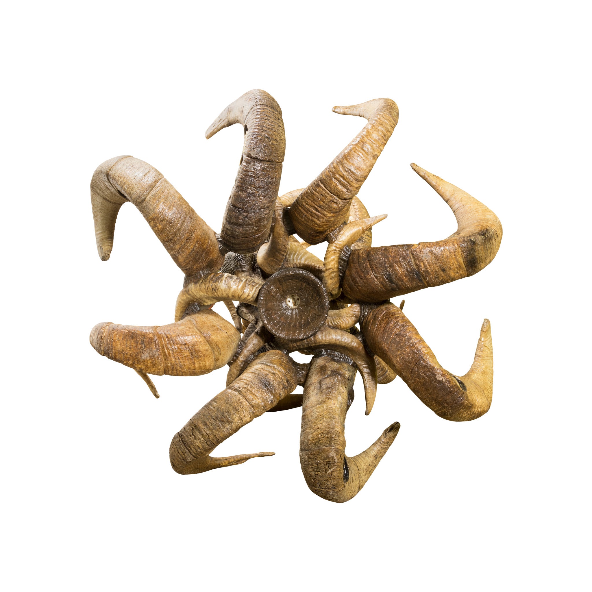 Big Horn Ram Carved Chandelier