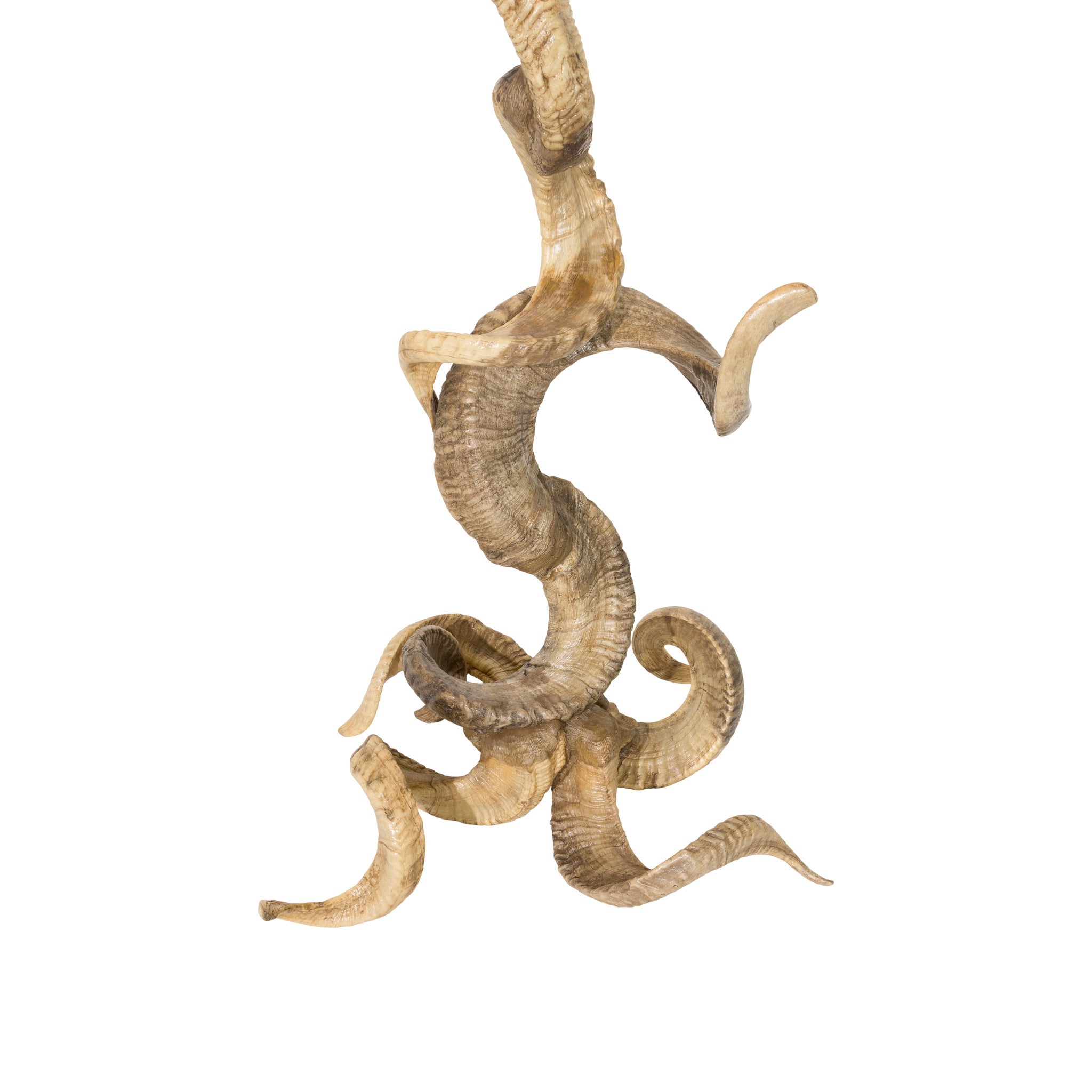 Bighorn Sheep Floor Lamp