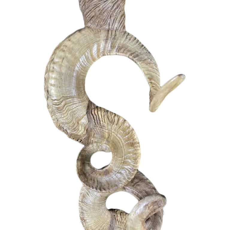 Bighorn Sheep Floor Lamp