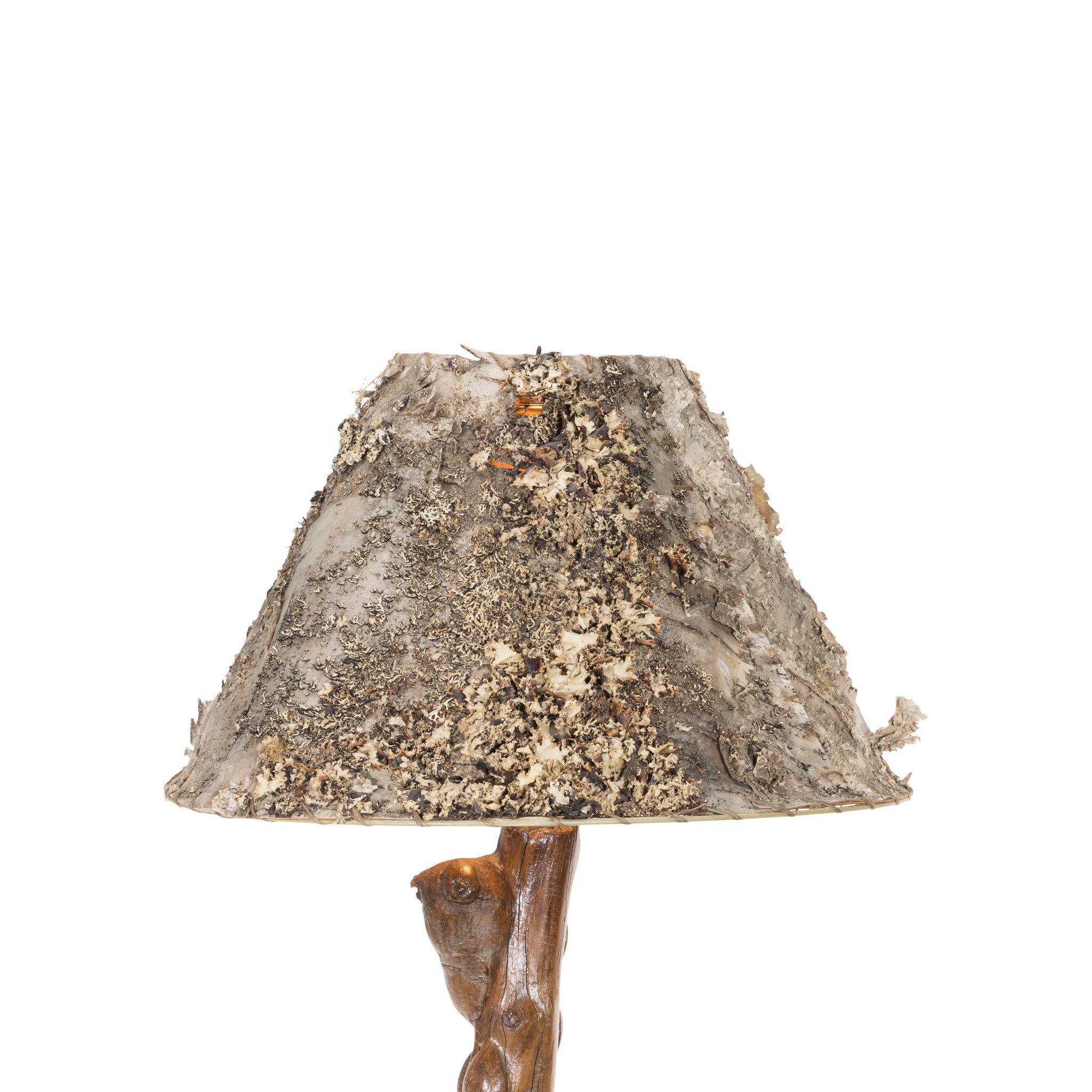 Burl Table Lamp