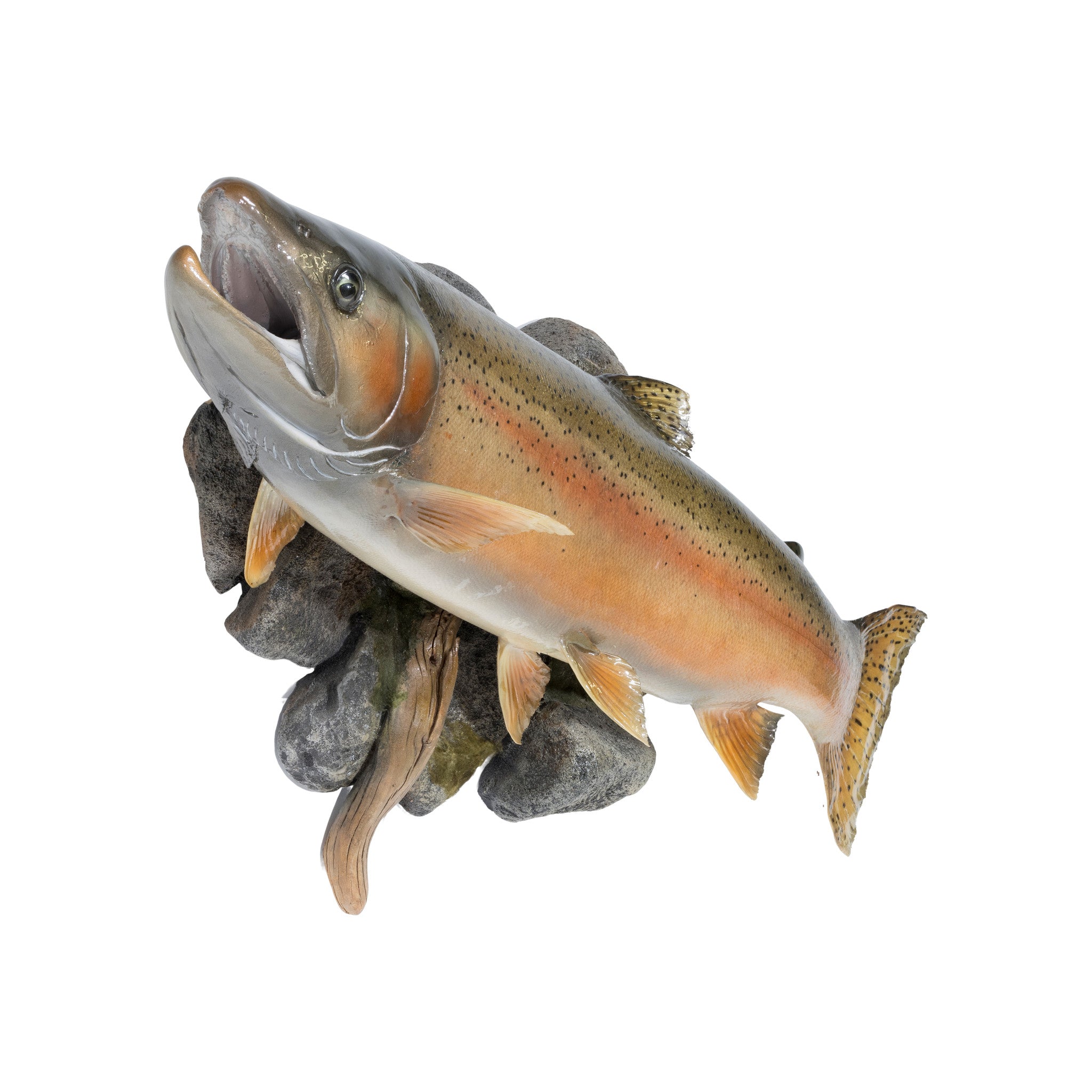 Steelhead Salmon Skin Mount