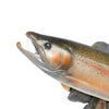 Steelhead Salmon Skin Mount