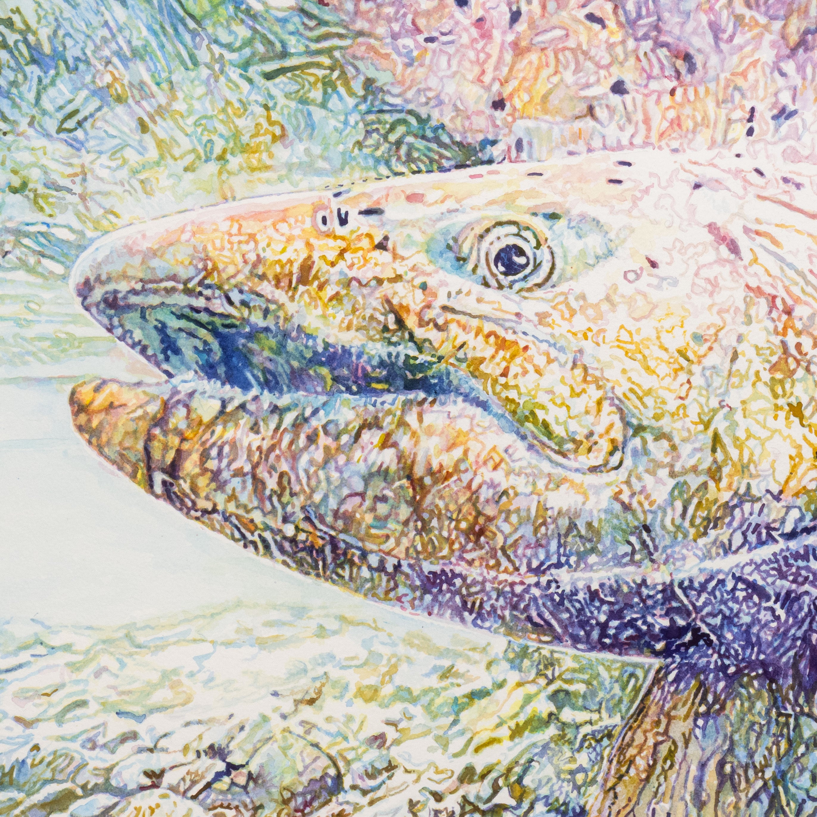 King Salmon in the Salcha River, Alaska by Grant Nixon