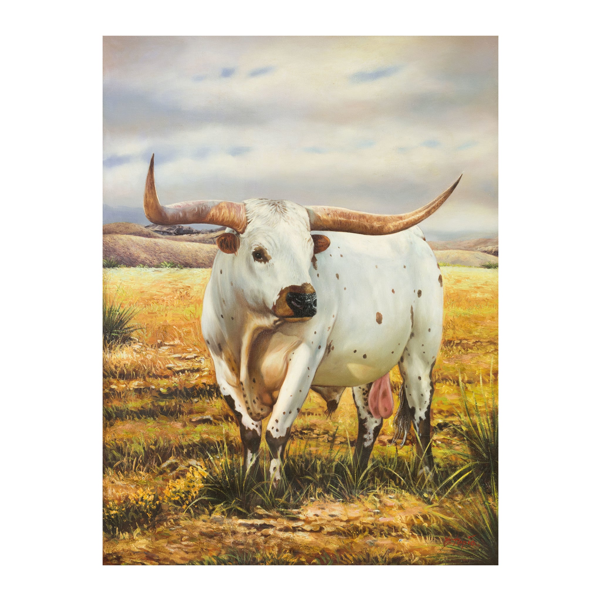 Speckled Longhorn by E. Tapia, Fine Art, Painting, Western