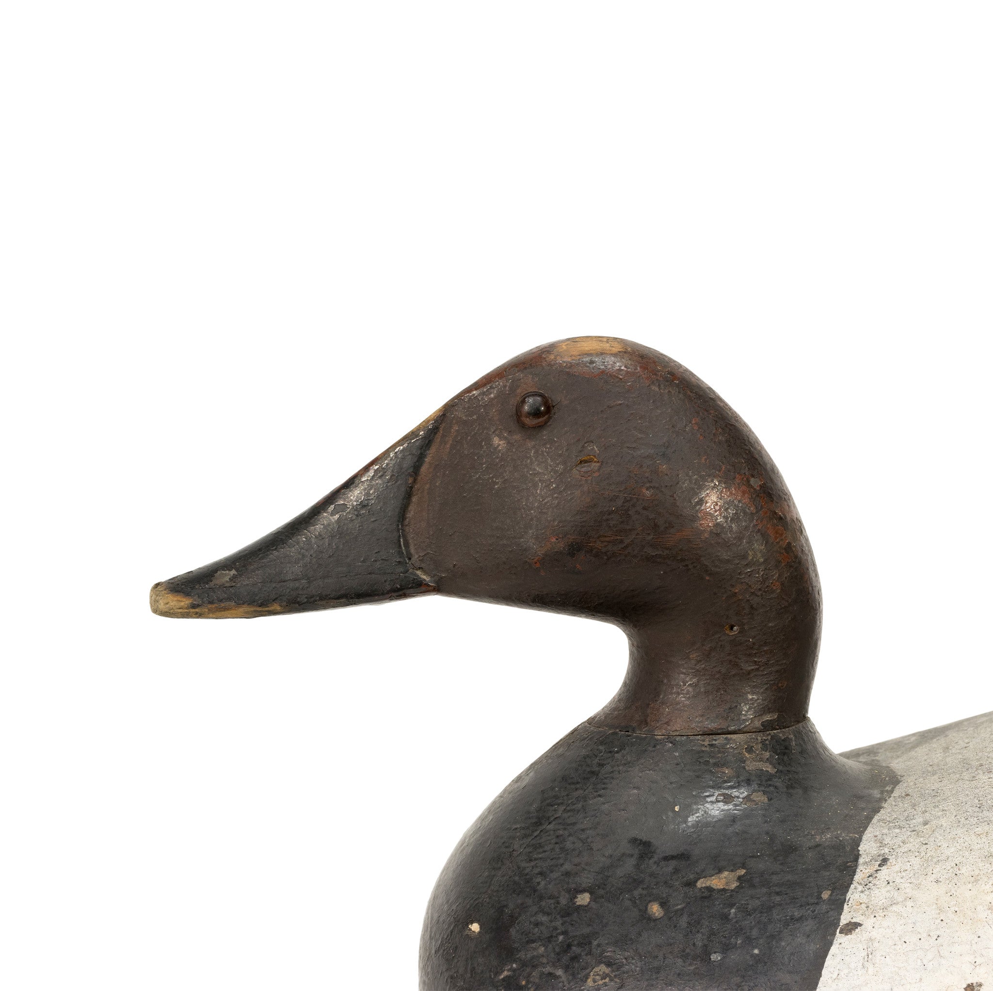 Canvasback Drake Decoy