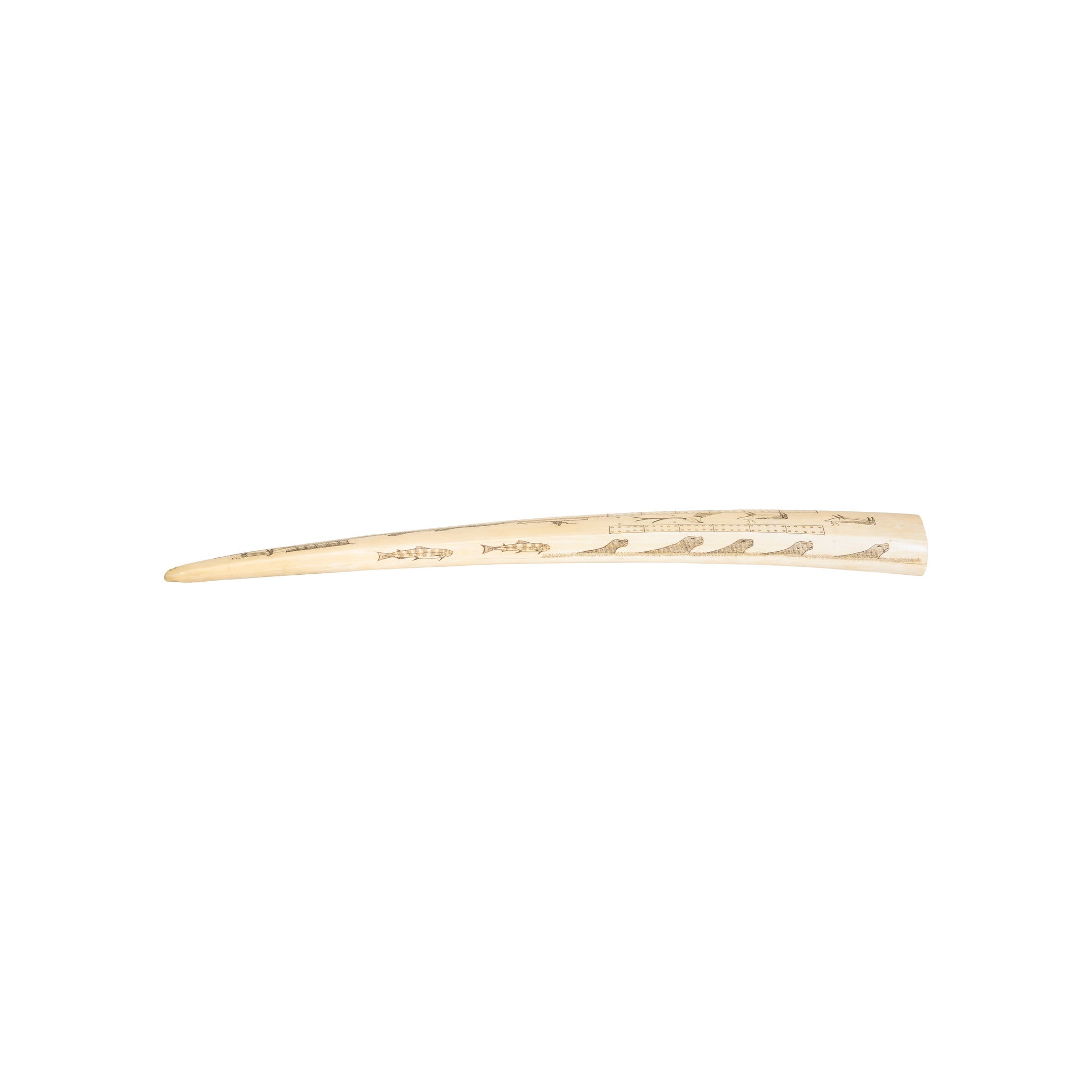 Inuit Walrus Tusk Cribbage Board