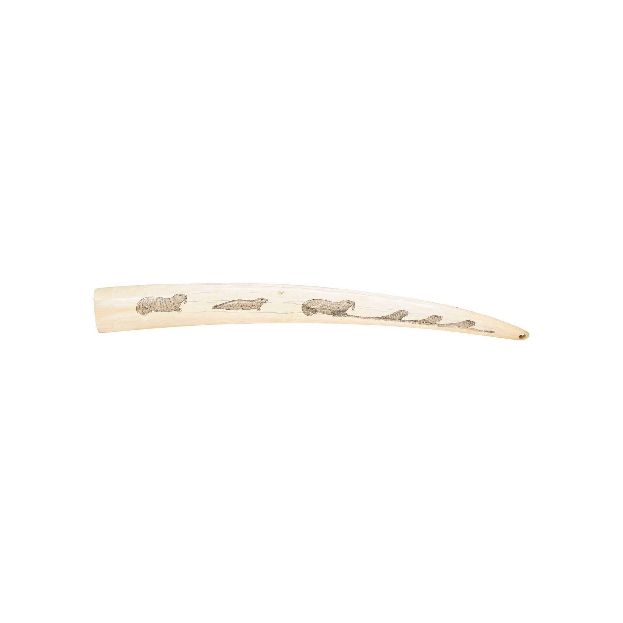 Inuit Walrus Tusk Cribbage Board