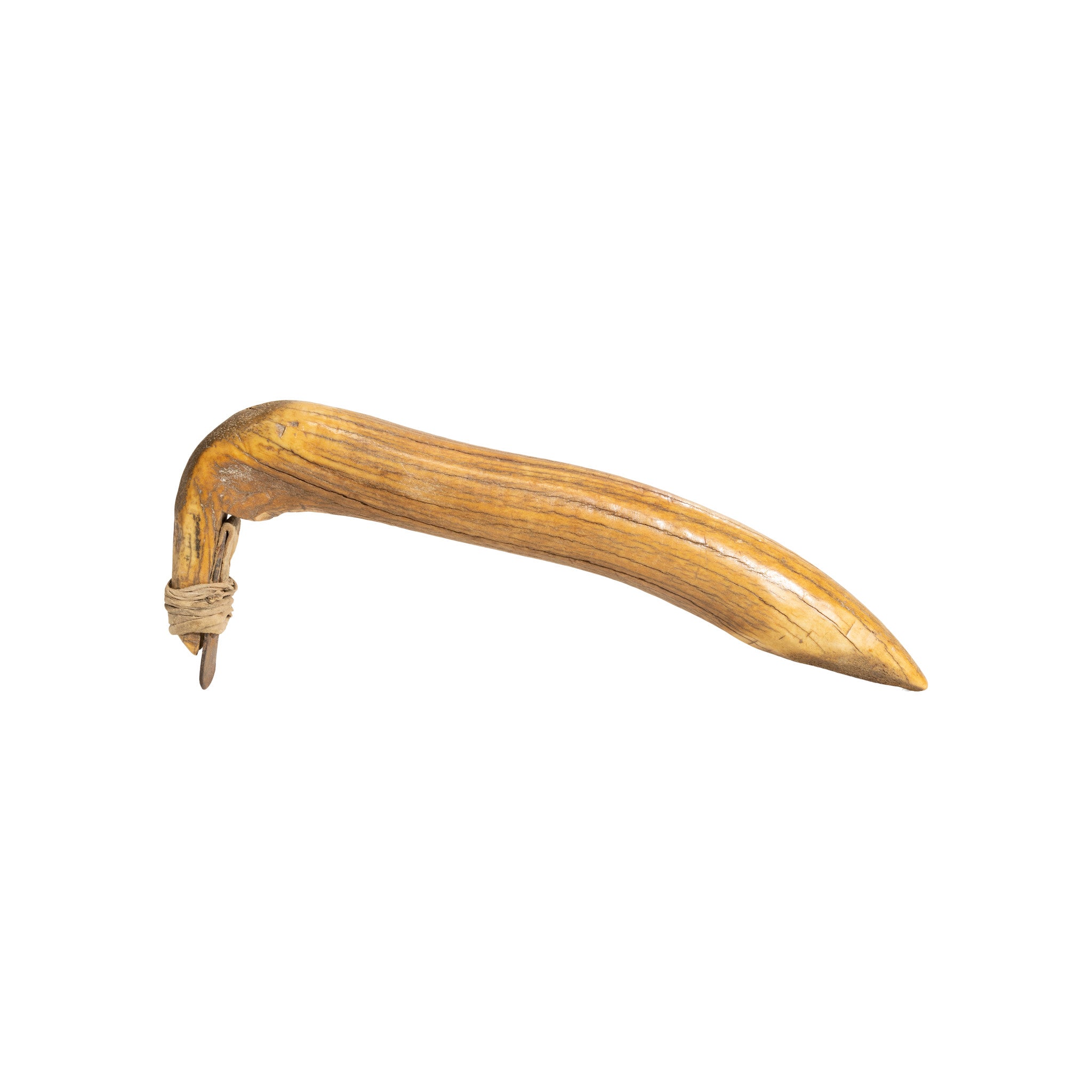 Lakota Sioux Elk Antler Hide Scraper