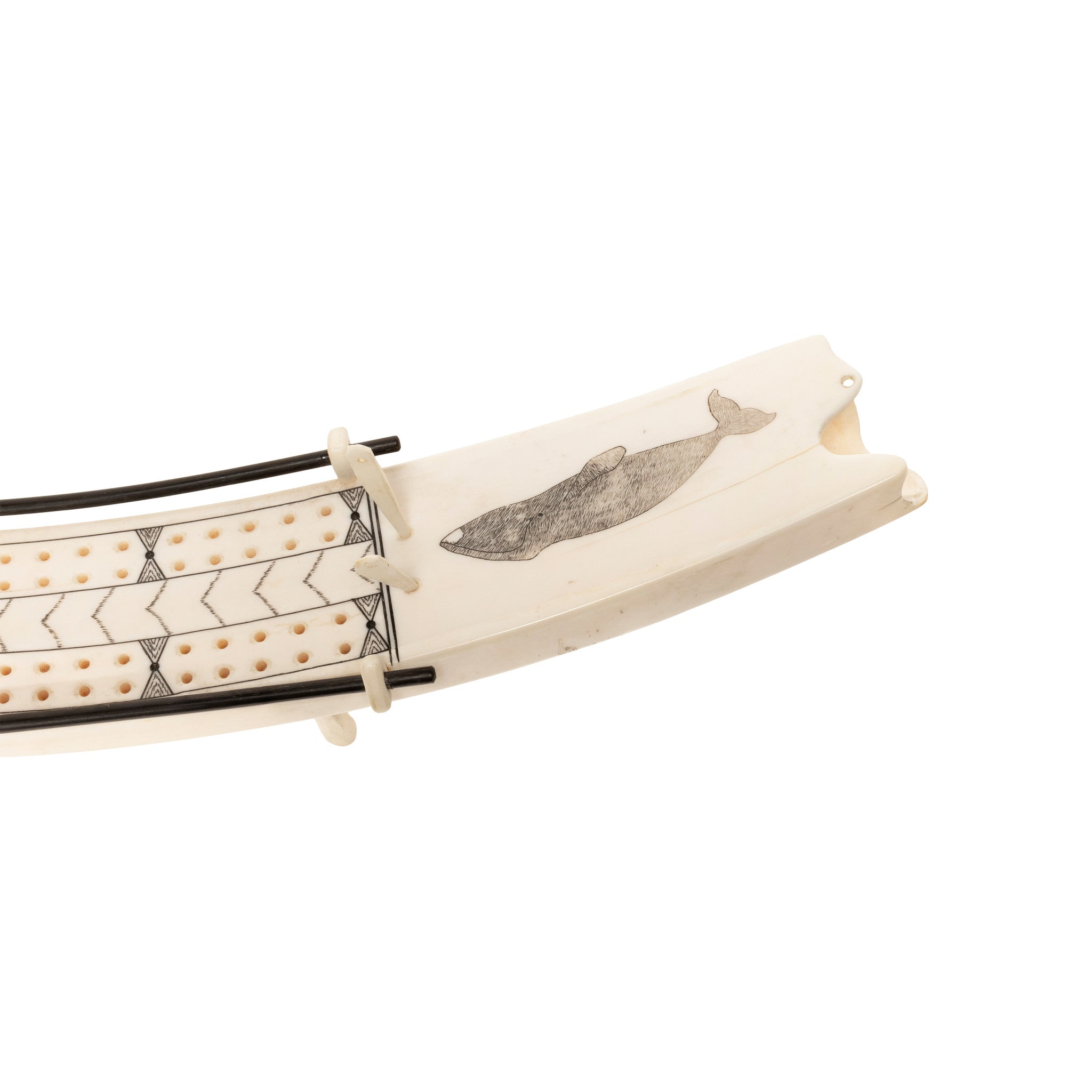 Walrus Ivory Tusk Cribbage Board