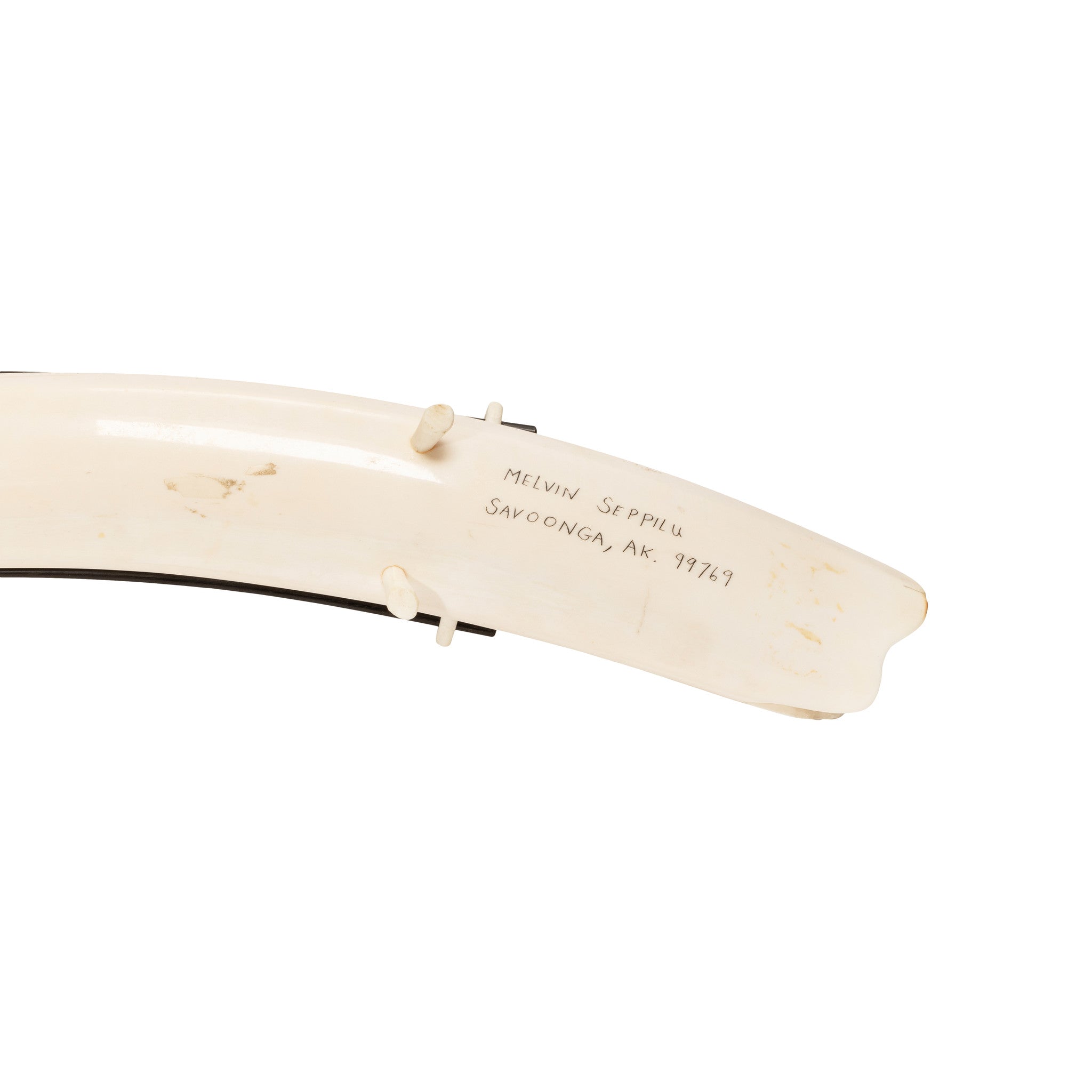 Walrus Ivory Tusk Cribbage Board