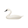 Life Size Trumpeter Swan Decoy