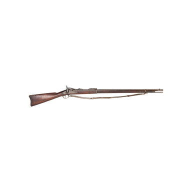Springfield Model 1884 Trapdoor Rifle, Firearms, Rifle, Other