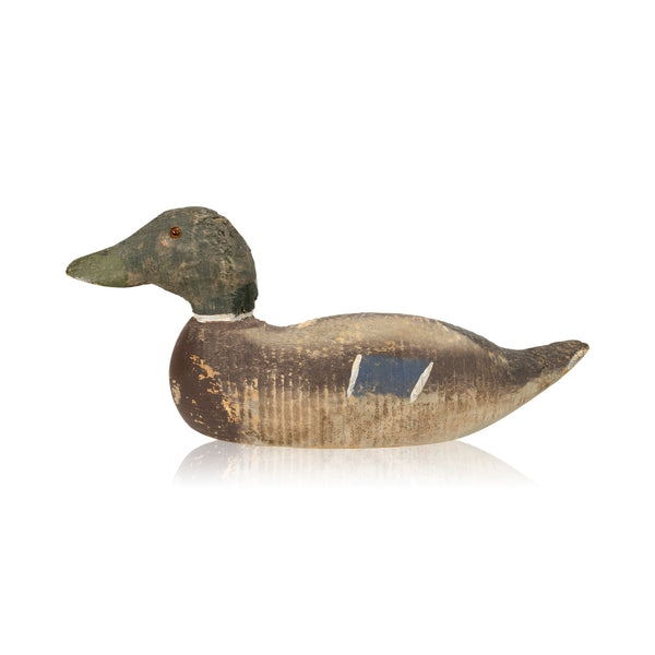 Animal Trap Drake Mallard Decoy, Sporting Goods, Hunting, Waterfowl Decoy