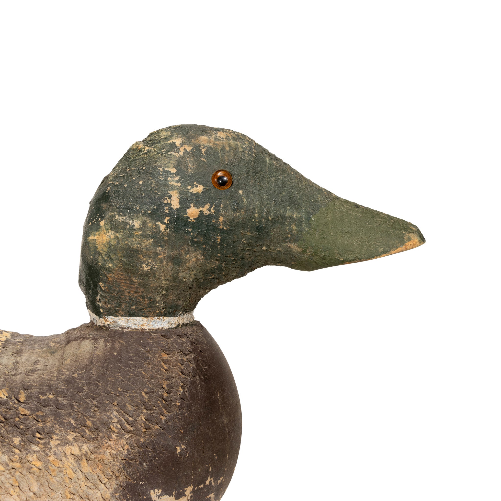 Animal Trap Drake Mallard Decoy