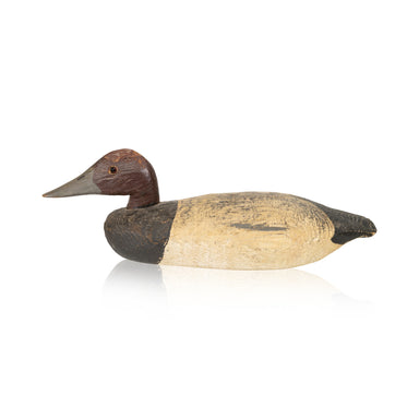 Canvasback Drake Decoy, Sporting Goods, Hunting, Waterfowl Decoy