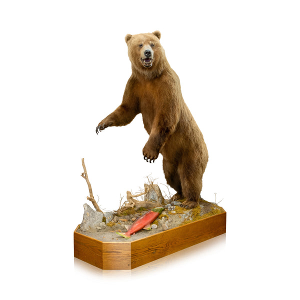 Alaskan Brown Bear, Furnishings, Taxidermy, Bear