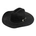 Stetson Cowboy Hat, Western, Garment, Hat