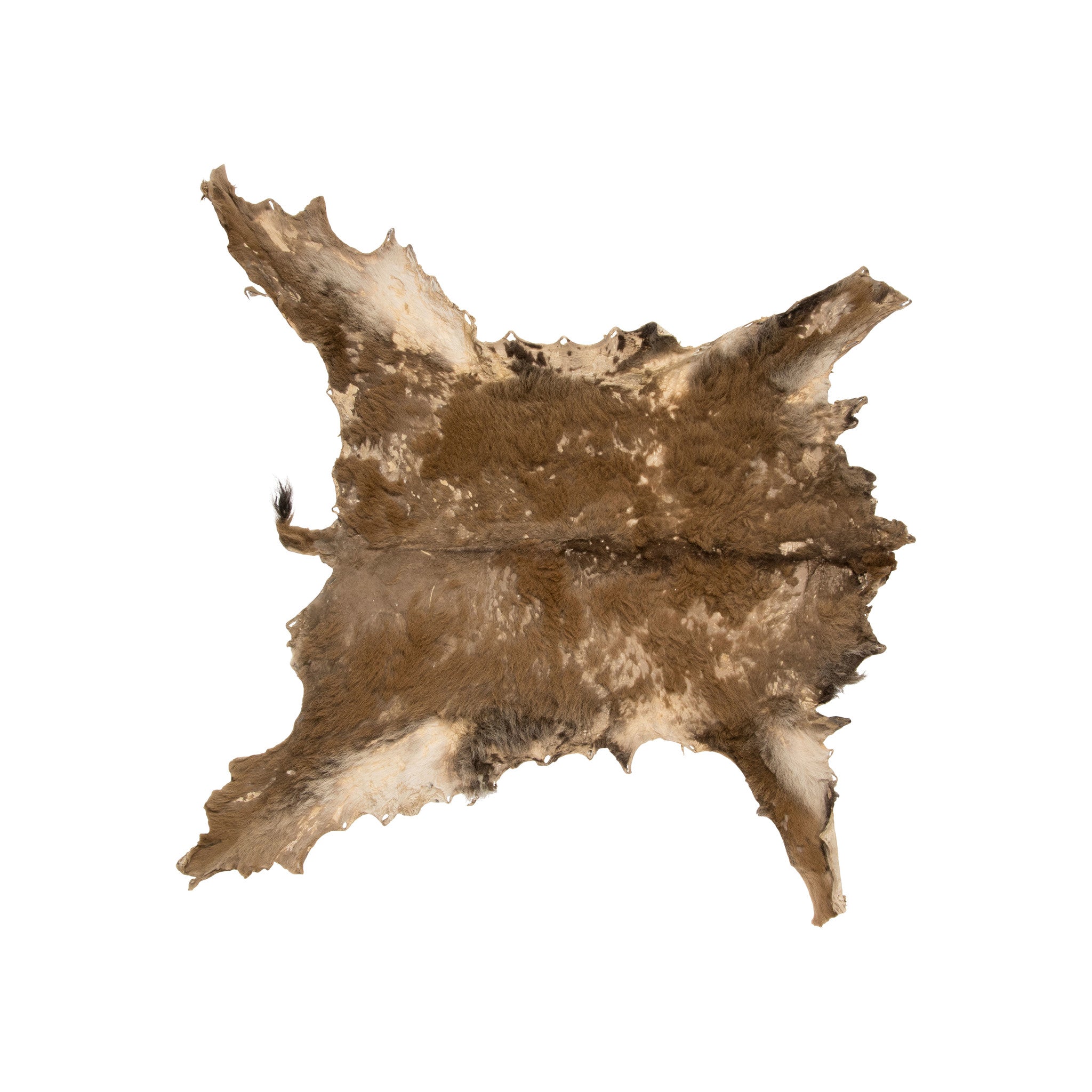 Northern Plains Beaded Pictorial Hide