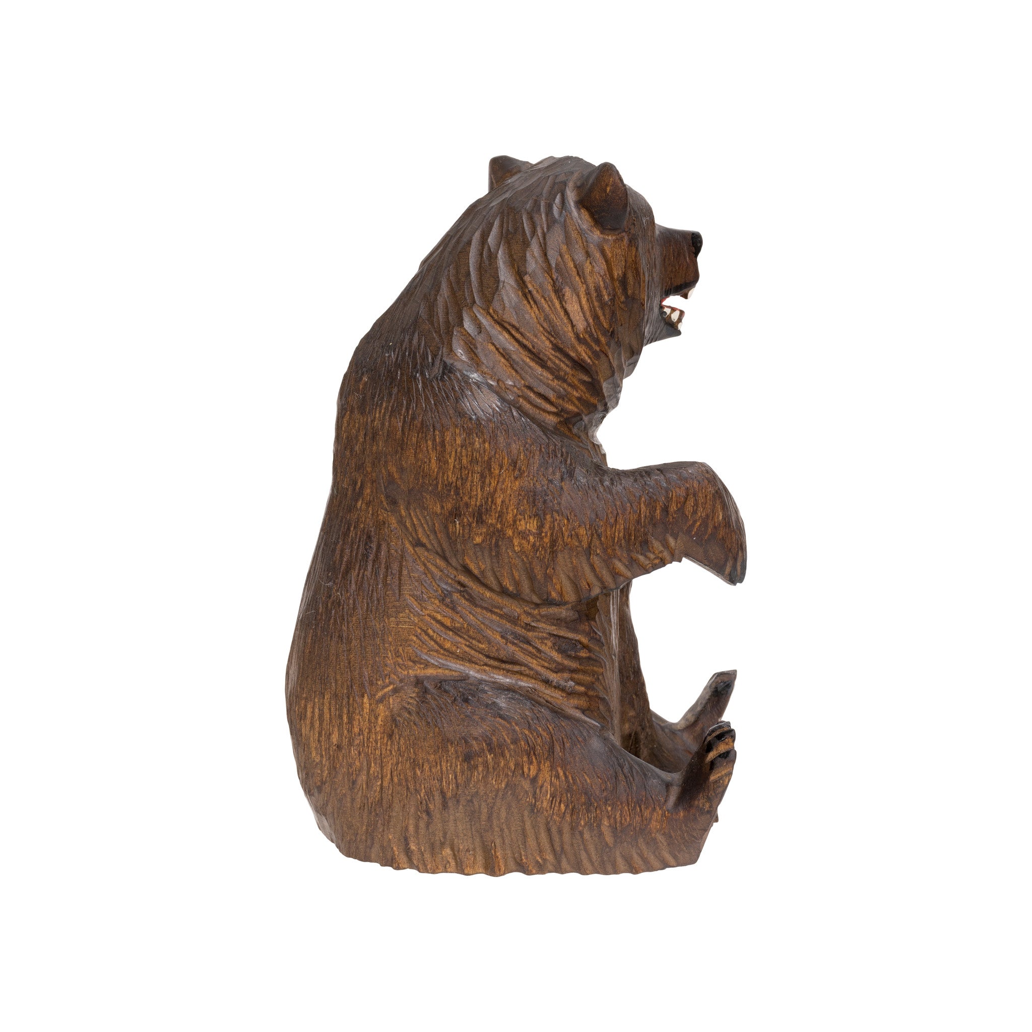 Black Forest Bear