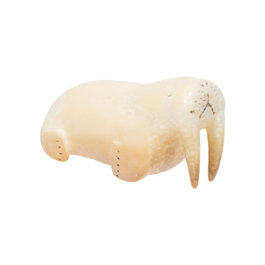 Inuit Carved Walrus, Native, Carving, Ivory