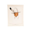 Blackfeet Indians of Glacier National Park by Winold Reiss