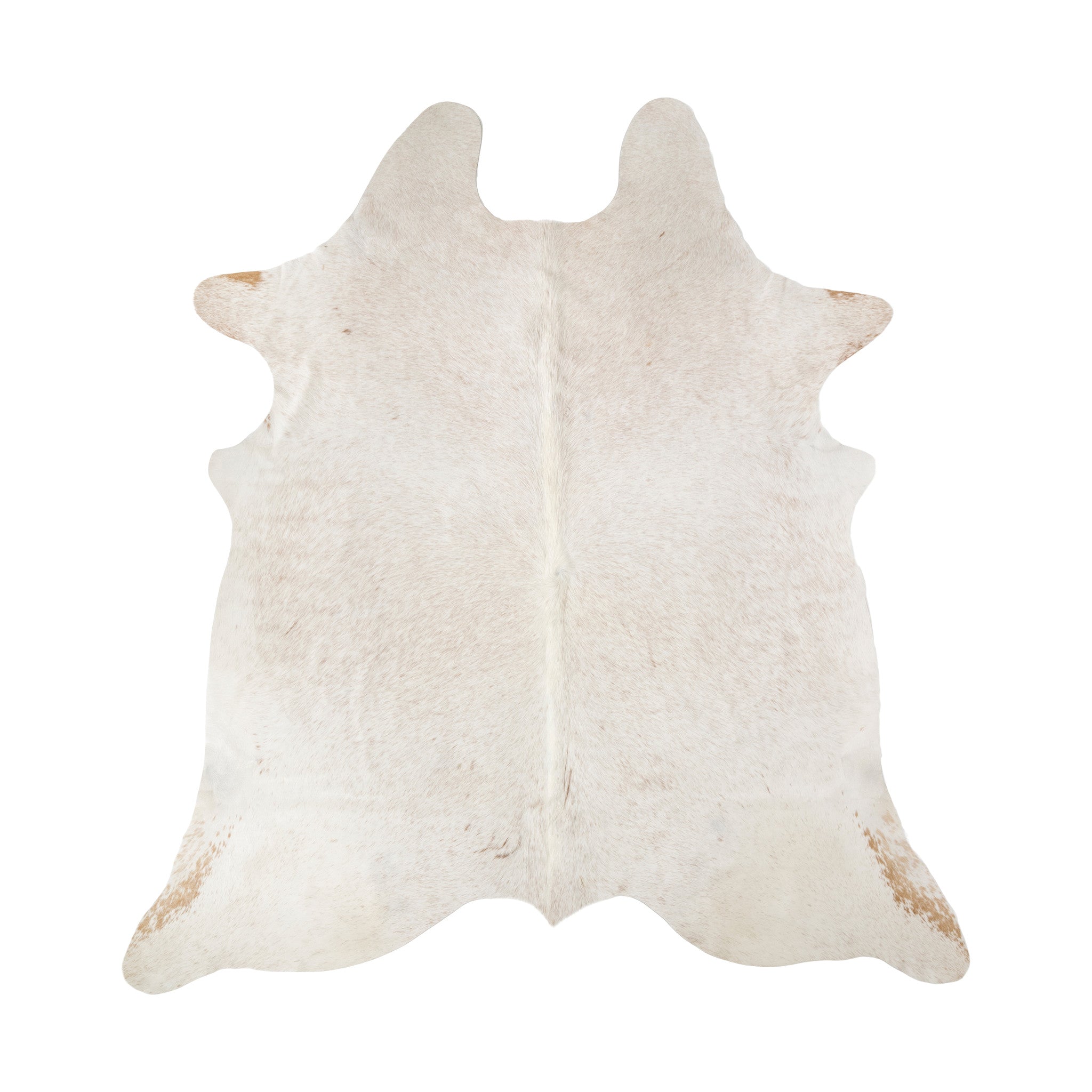 Longhorn Hide, Furnishings, Taxidermy, Longhorn