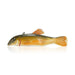 Tom Singleton Spearfish Decoy, Sporting Goods, Fishing, Decoy