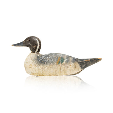 Grubb Pintail Decoy, Sporting Goods, Hunting, Waterfowl Decoy