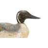 Grubb Pintail Decoy