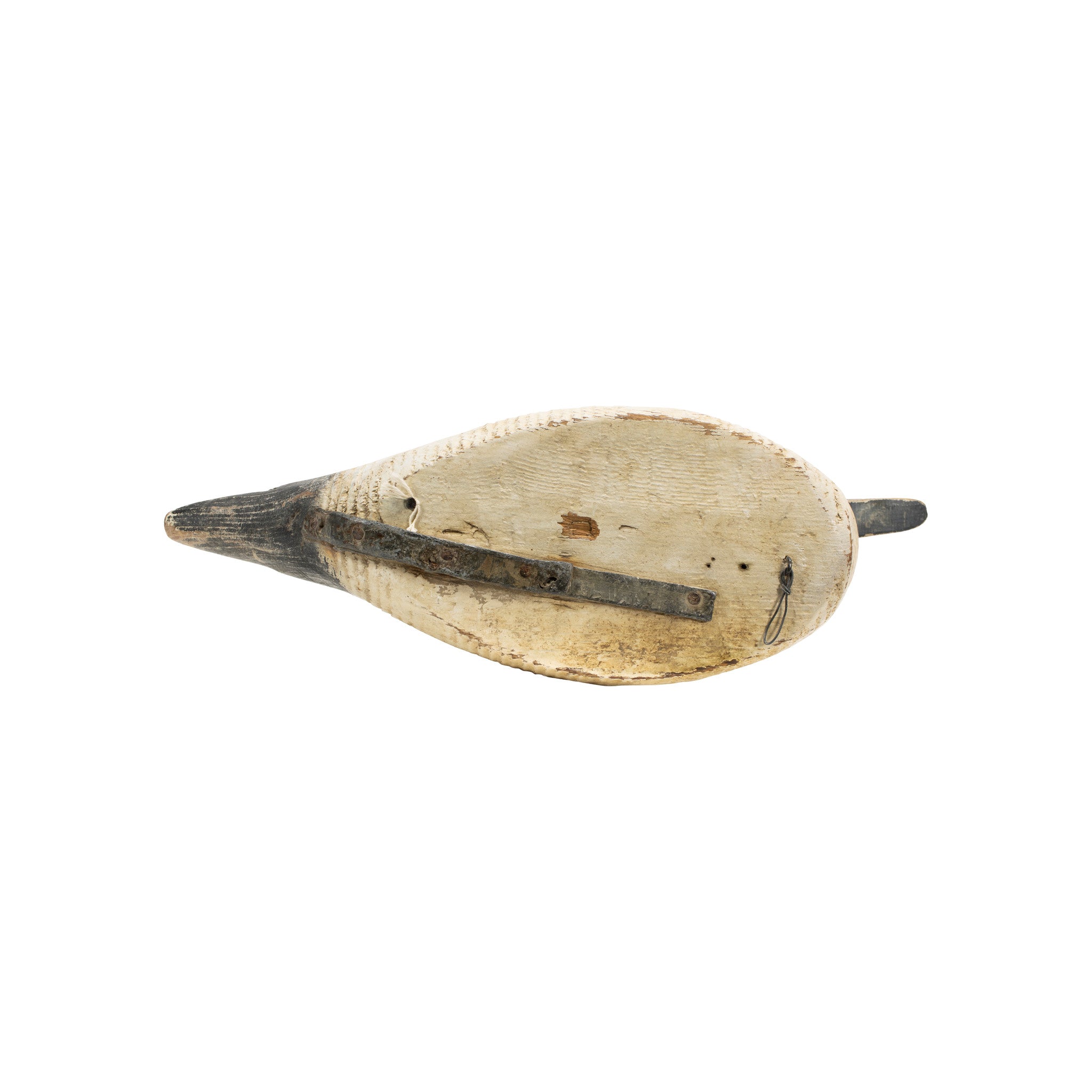 Grubb Pintail Decoy