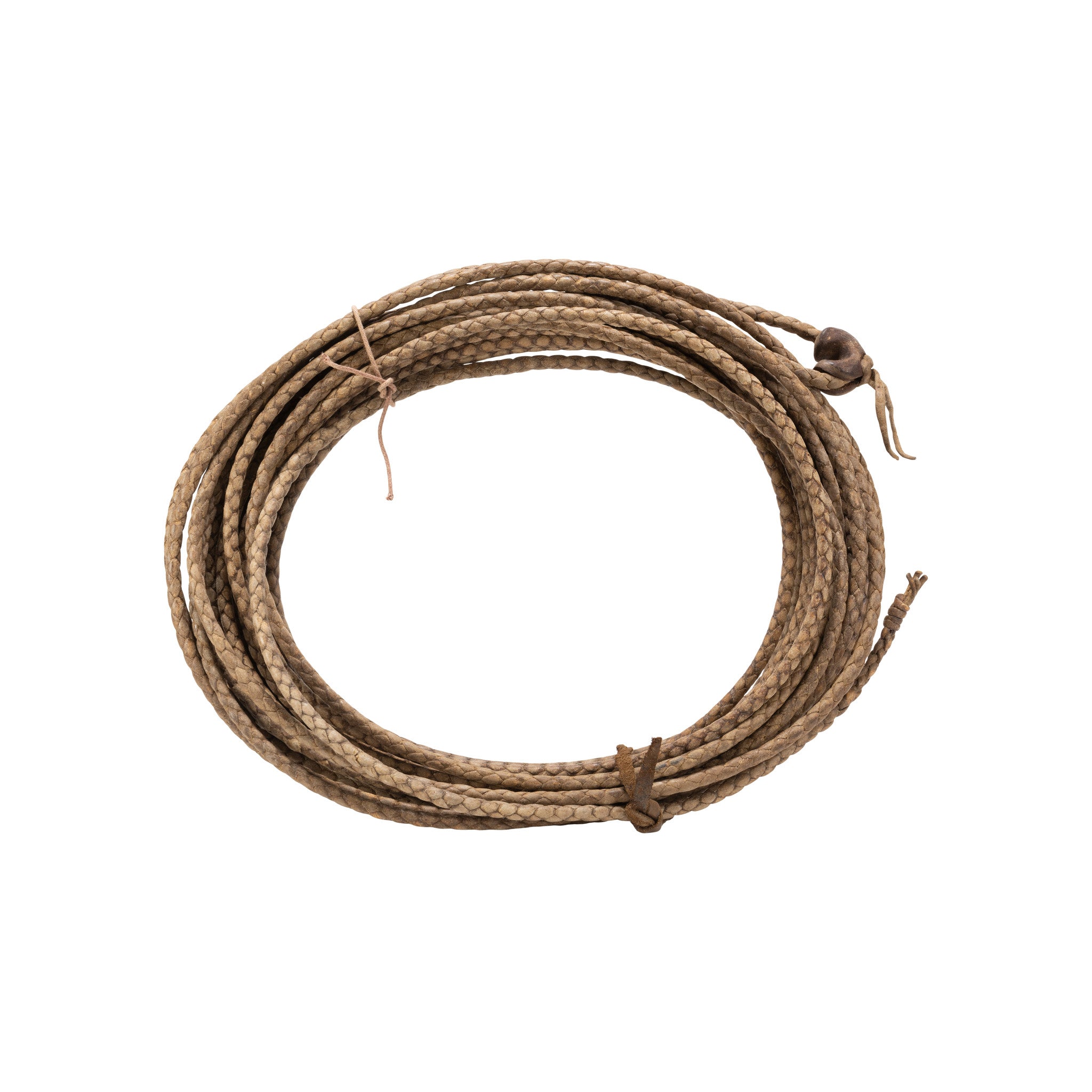 Rawhide Riata, Western, Horse Gear, Riata