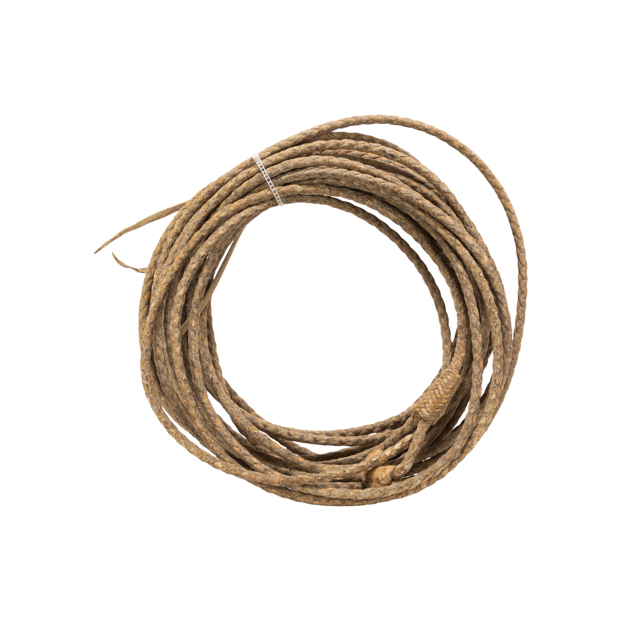 Rawhide Riata, Western, Horse Gear, Riata