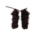 Black Wooly Angora Chaps, Western, Garment, Chaps