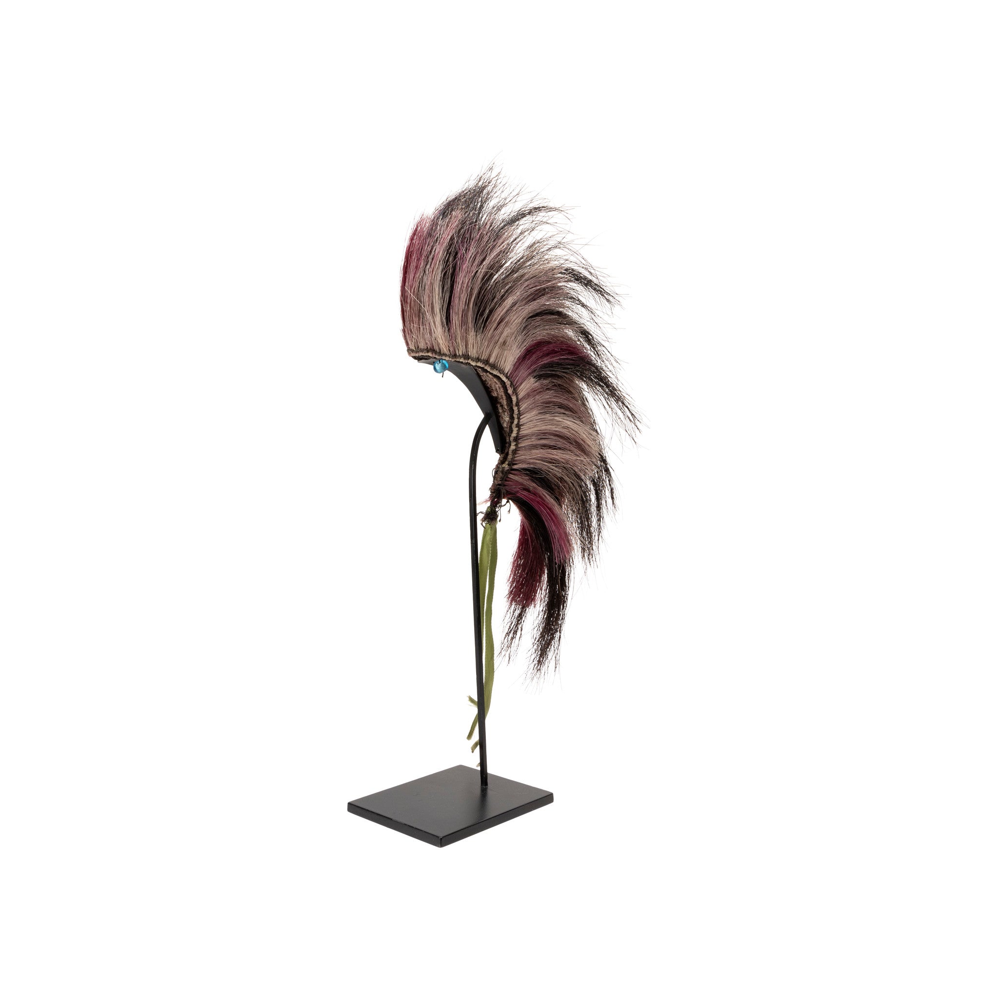 Plains Hair Roach