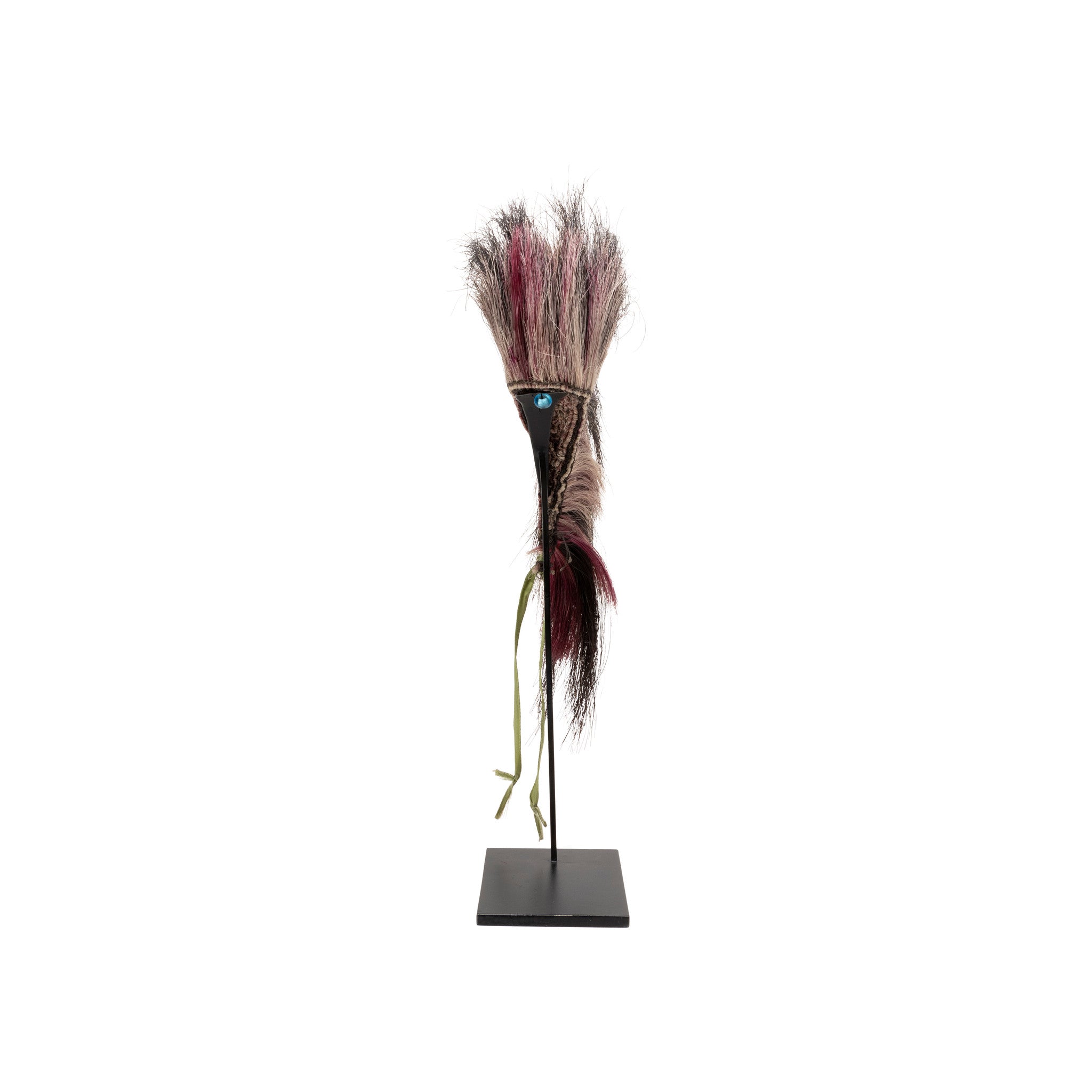 Plains Hair Roach