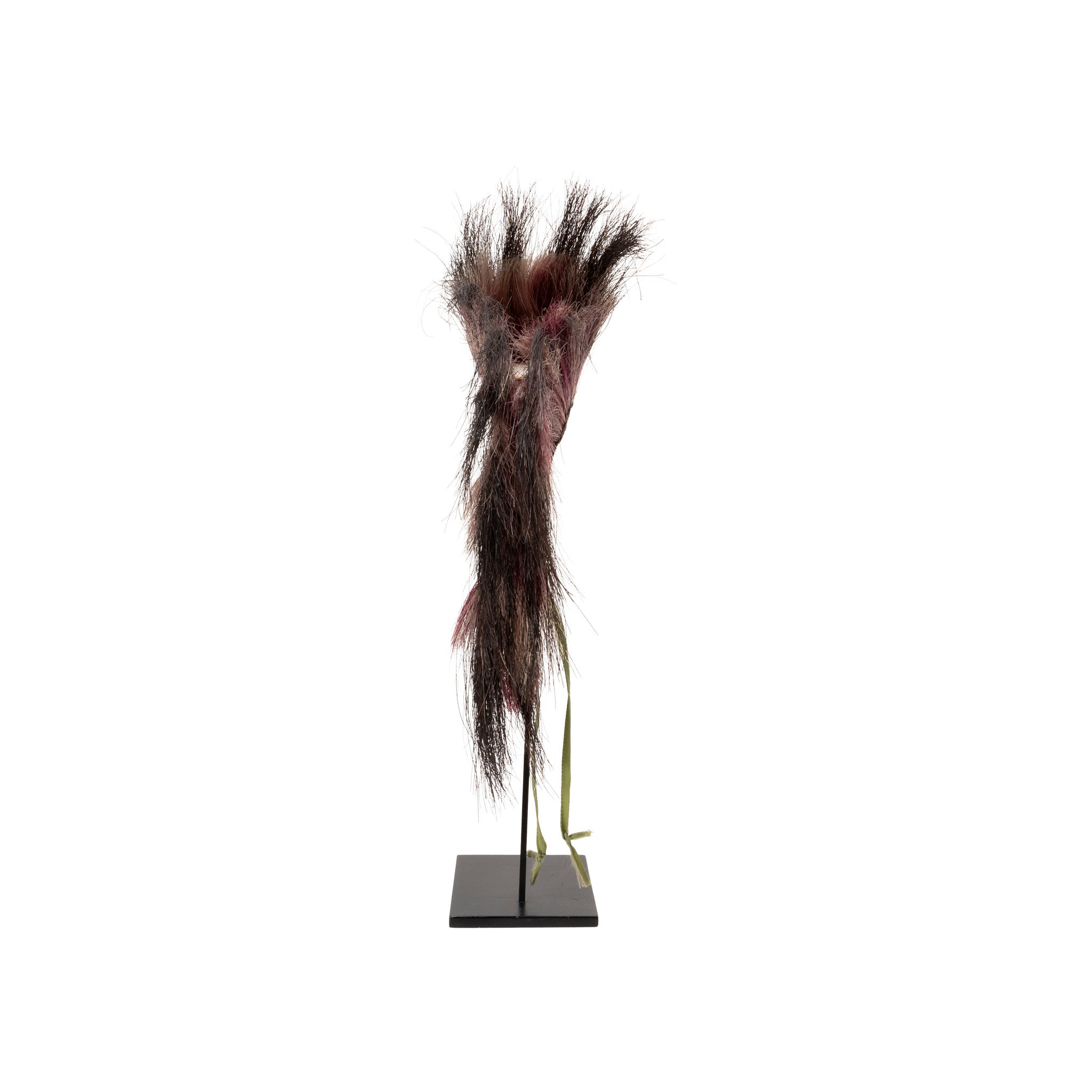 Plains Hair Roach