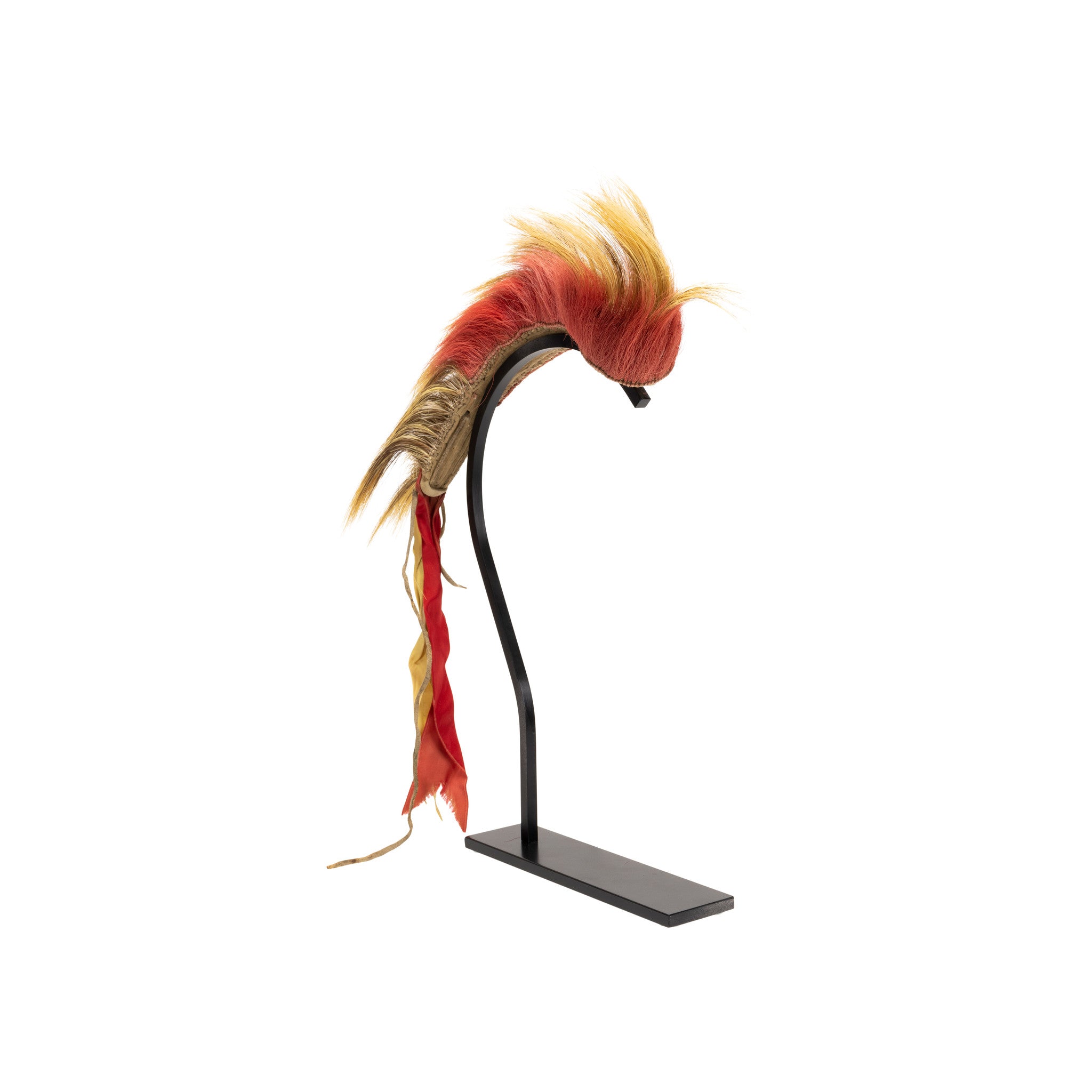 Plains Hair Roach