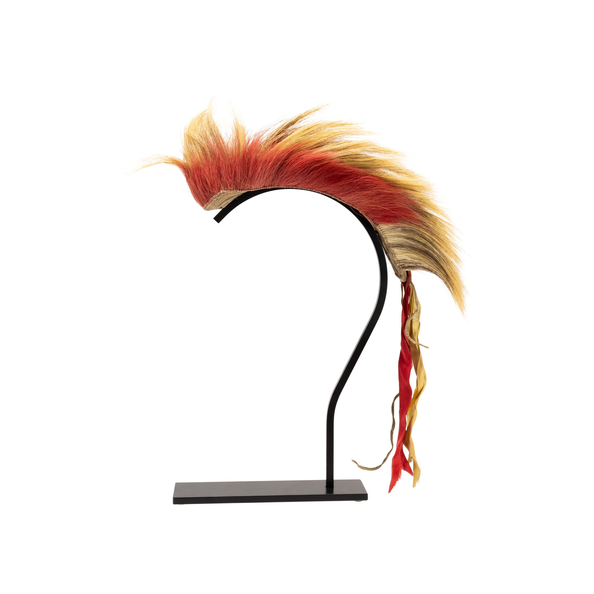 Plains Hair Roach