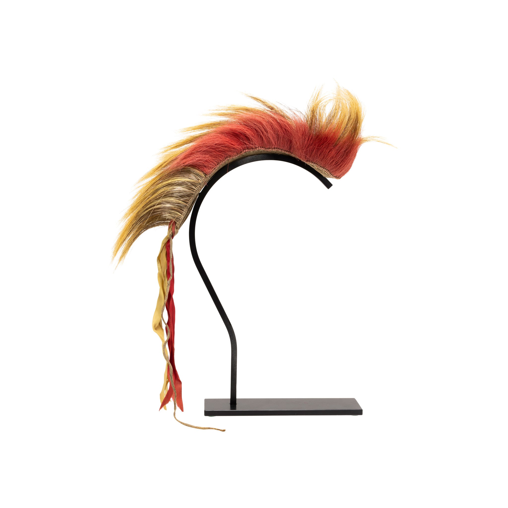 Plains Hair Roach