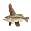 Small Mouth Bass, Furnishings, Taxidermy, Fish