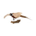 Flying Ringneck Pheasant, Furnishings, Taxidermy, Bird